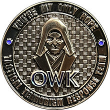 Load image into Gallery viewer, Obi-wan Kenobi You&#39;re My Only Hope Death Star TACTICAL TERRORISM RESPONSE TEAM 10 TTRT CBP Challenge Coin DL13-008